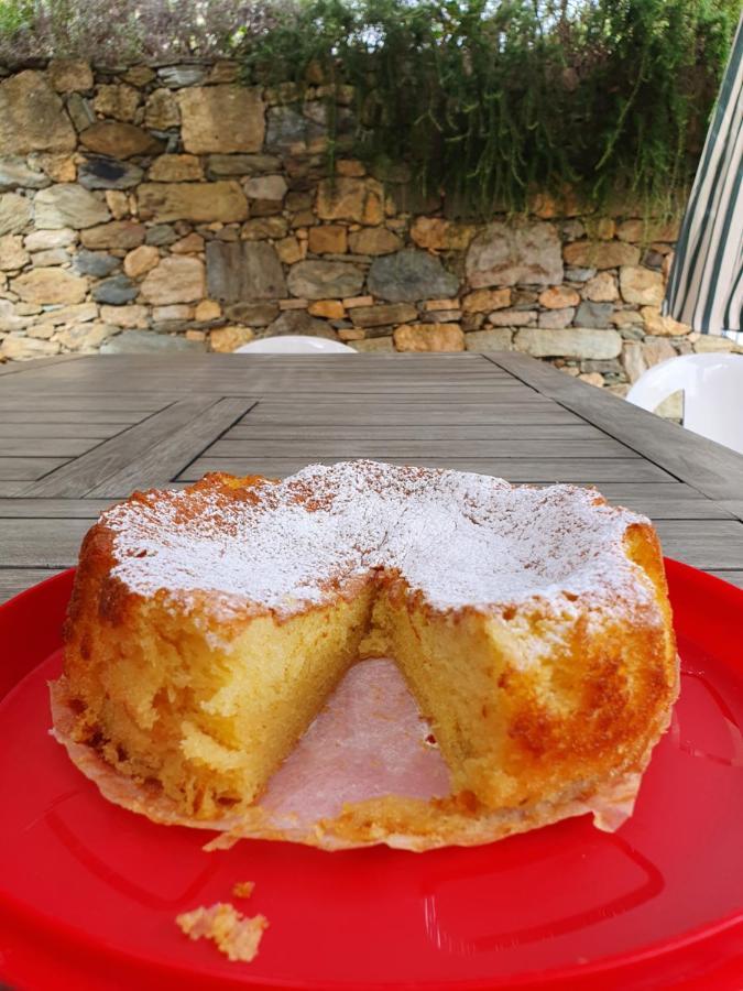 Ort Holiday'S Time Orco Feglino Εξωτερικό φωτογραφία