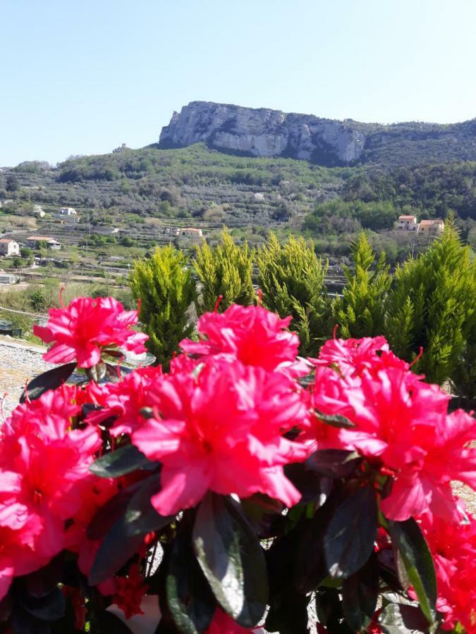 Ort Holiday'S Time Orco Feglino Εξωτερικό φωτογραφία