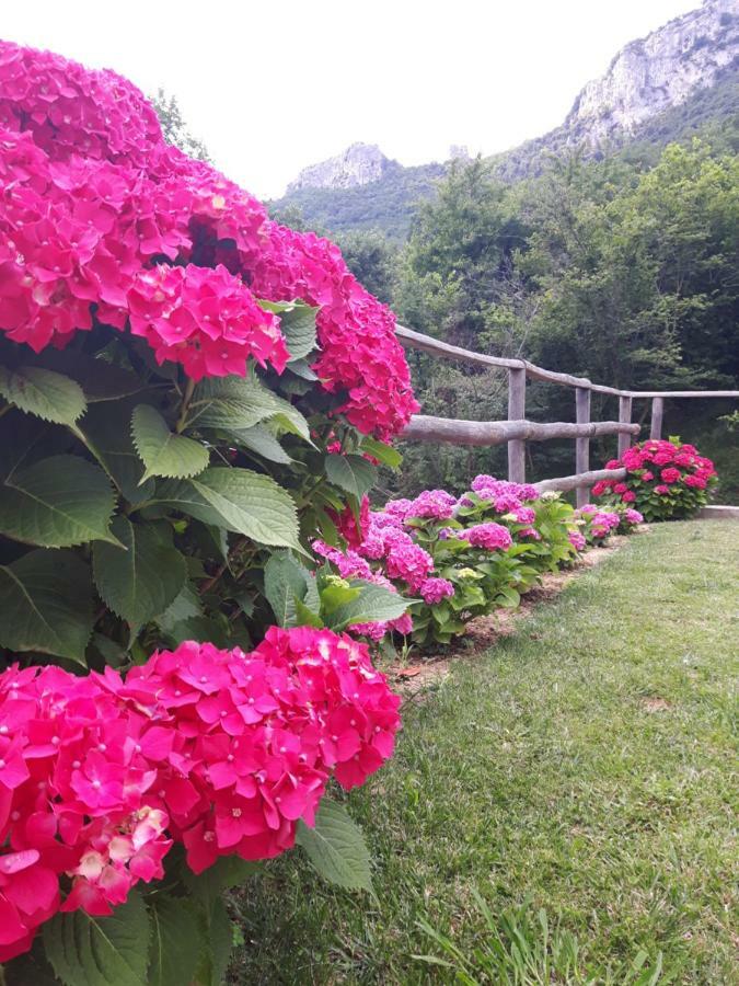 Ort Holiday'S Time Orco Feglino Εξωτερικό φωτογραφία
